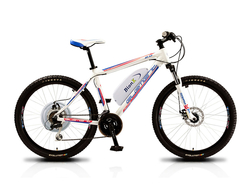 Element Proton 2.0 White BionX 250 S